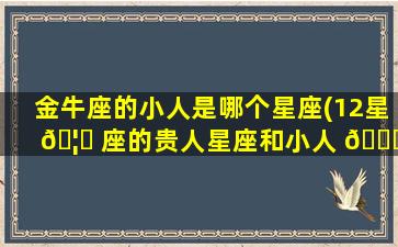 金牛座的小人是哪个星座(12星 🦋 座的贵人星座和小人 🐅 星座)